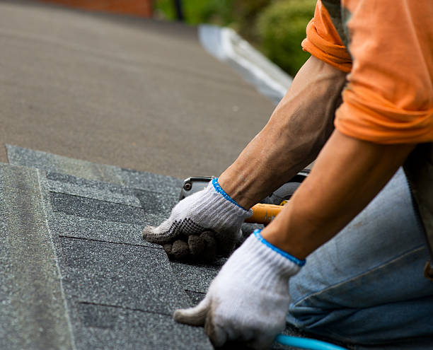 Best Storm Damage Roof Repair  in Edgerton, MN