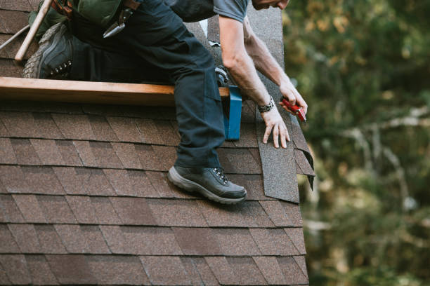 Best Roof Leak Repair  in Edgerton, MN